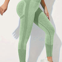 High Waist Active Pants