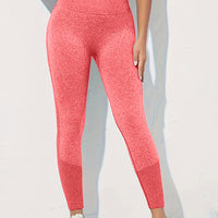 High Waist Active Pants