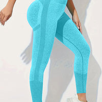 High Waist Active Pants