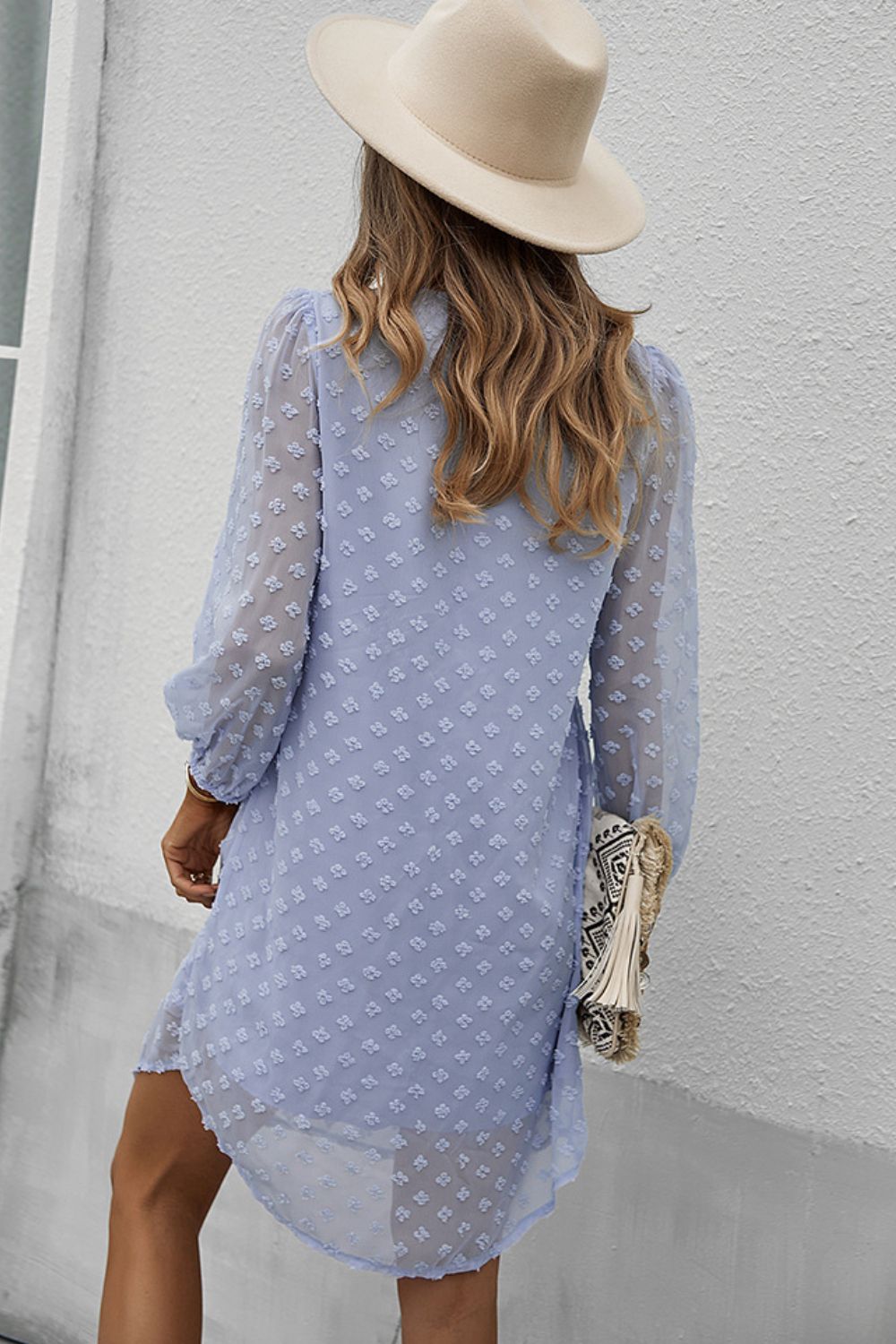 Swiss Dot V-Neck Long Sleeve Dress