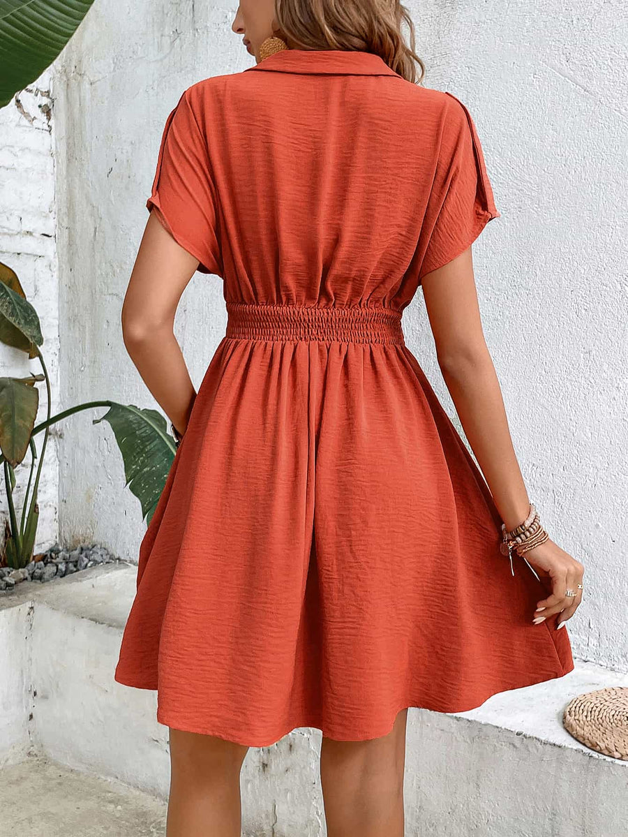 Collared Neck Short Sleeve Twisted Dress