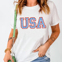 USA Graphic Embroidered Round Neck T-Shirt