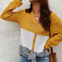 Color Block Waffle Knit V-Neck Top