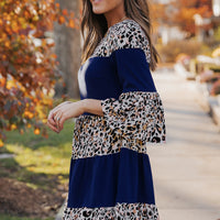 Animal Print Color Block Flare Sleeve Dress